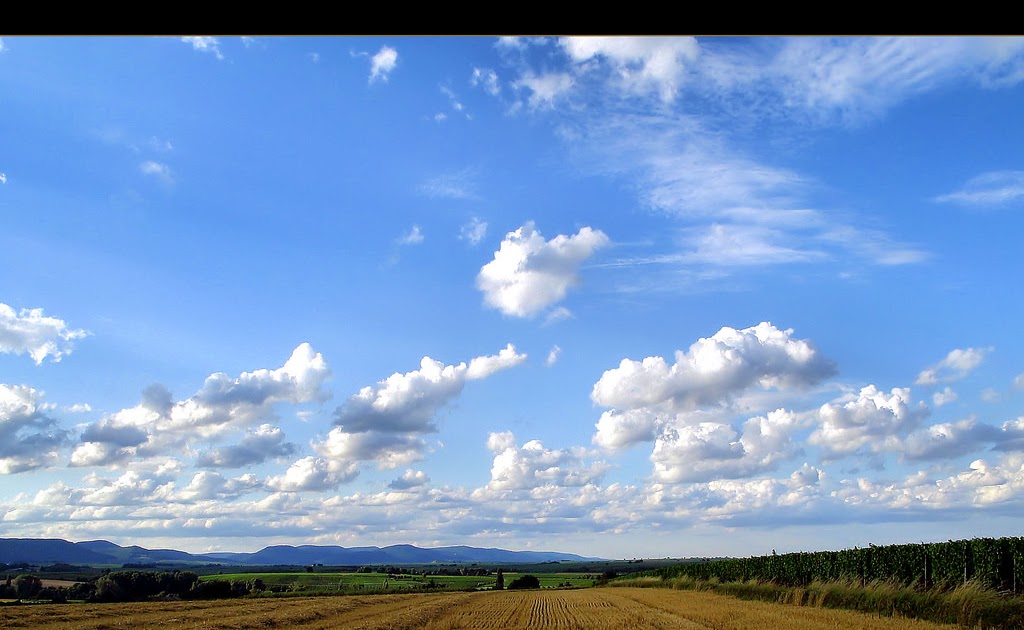 Wallpaper Biru Langit Polos Paimin Gambar