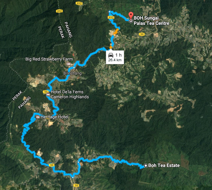 Bukan selalu pergi bercuti ke cameron highland. Perbezaan 3 Ladang Teh Di Cameron Highlands Wanderhoney Com