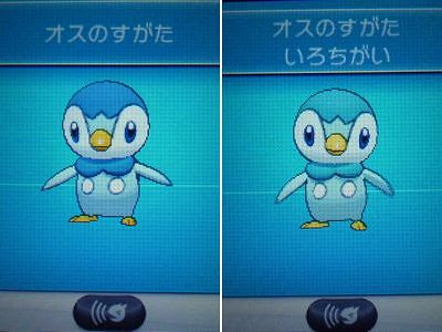 心に強く訴えるポケモン ポッチャマ 色 違い かわいいディズニー画像
