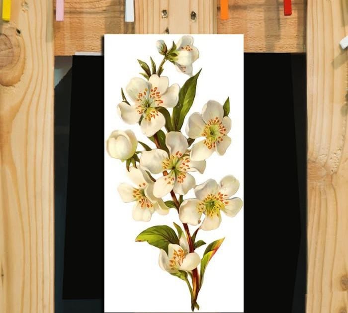 Luar Biasa Dekorasi Rumah Papan  Beauty Glamorous