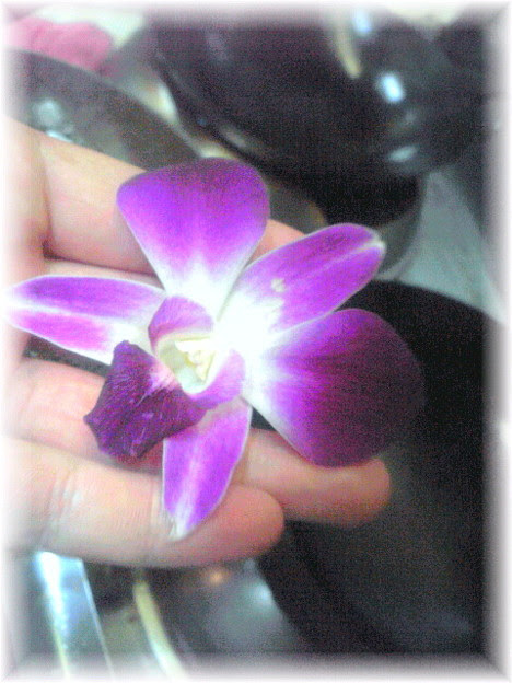50 素晴らしい料理 飾り 花 すべての美しい花の画像