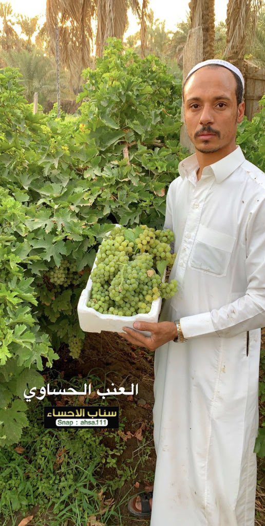 وقف السيد/ مرتضى أحمد محمد منصور رئيس مجلس إدارة نادى الزمالك للألعاب الرياضية عن مزاولة أى نشاط رياضى فى مصر لمدة أربعة سنوات (4 سنوات)وتغريمه مبلغ مائة ألف جنيها مصري لاغير مع مايترتب على ذلك من اّثار والتى منها على الأخص الأتى : Baqshihh Tml