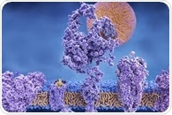 Ion Channel Electrophysiology