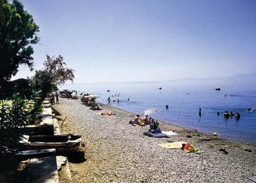 Θα απαντήσουμε άμεσα σε όλες τις φόρμες επικοινωνίας που θα λάβουμε, ενημερώνοντας σας σχετικά με τη διαθεσιμότητα στο ξενοδοχείο αγνάντι και απαντώντας σε όποια. Eyrwph Ellada Sterea Ellada Nomos Eyboias Boreia Eyboia Robies 7 11