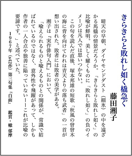 コンプリート 宮崎 トビウオすくい 炎上 宮崎 トビウオすくい 炎上