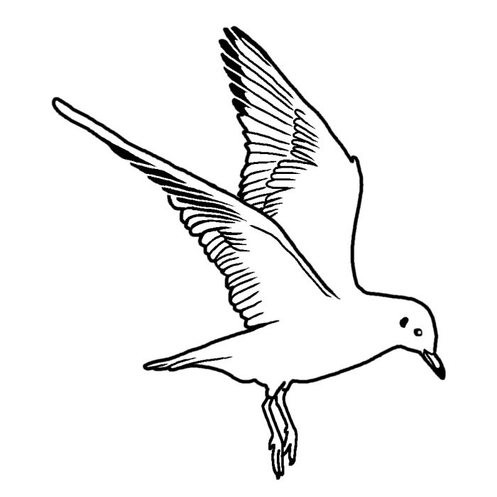 エレガント鳥 イラスト 白黒 ただのディズニー画像