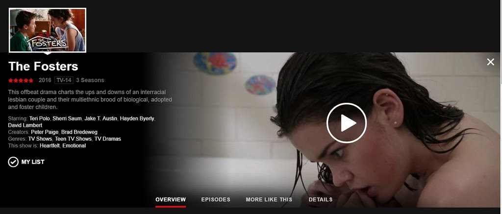 Talk Nerdy To Me: Five Netflix Shows to Watch About Fostering