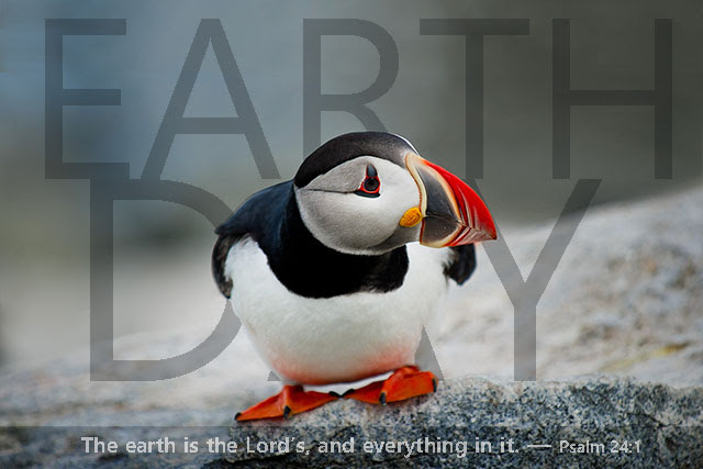 Happy Earth Day from UM News. Psalm 24:1. Puffin photo by Ray Hennessy on Unsplash; graphic by Laurens Glass.