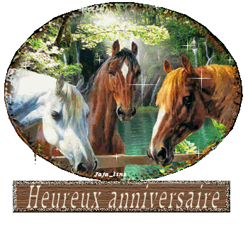 Carte D Anniversaire Animee Avec Cheval Coleteremelly Blog