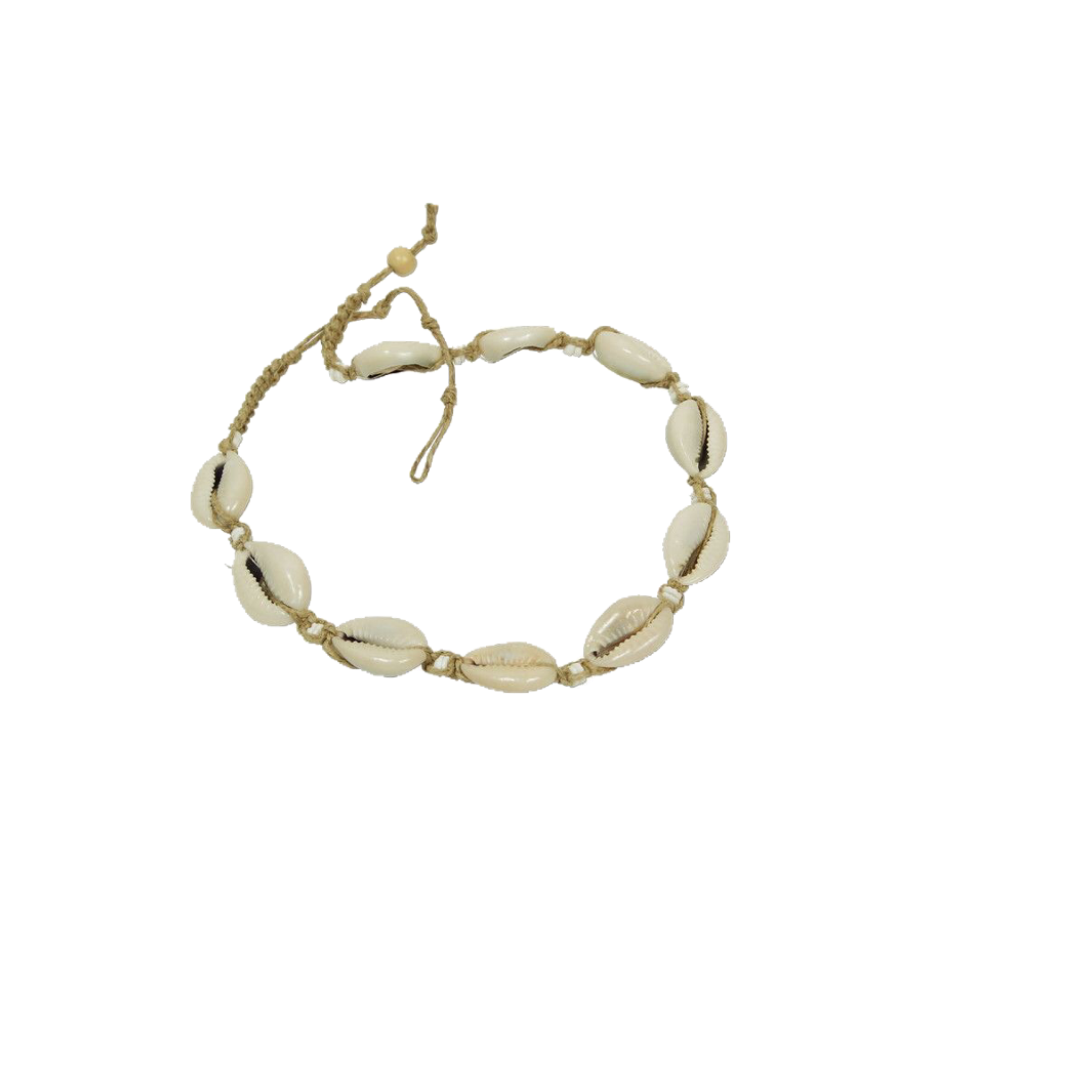 Download Png Transparent Shell Necklace Png Png Gif Base - oversized golden shell necklace roblox