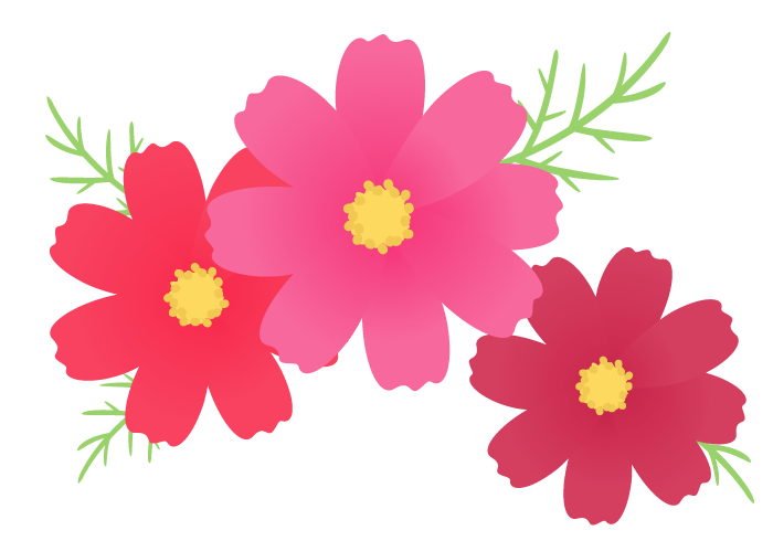 無料印刷可能コスモス 花 イラスト ただのディズニー画像
