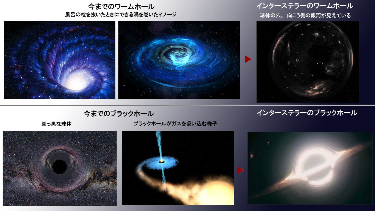 すべての美しい花の画像 50 インター ステラー 壁紙