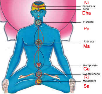 Sapthaswara in the Human System