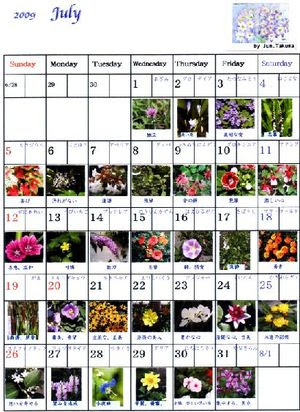 すべての美しい花の画像 ユニーク7 月 7 日 誕生 花