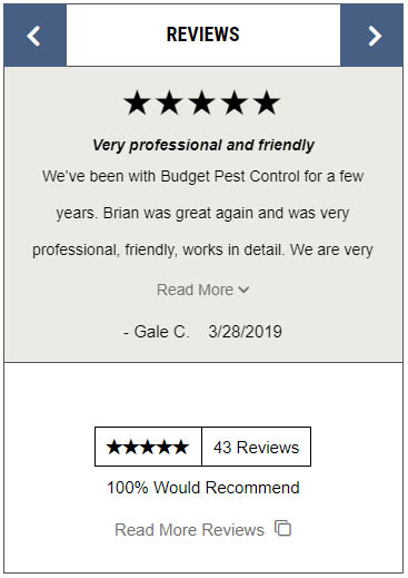 Glue traps and boric acid are much more preferred methods. Bed Bug Extermination Budget Pest Services
