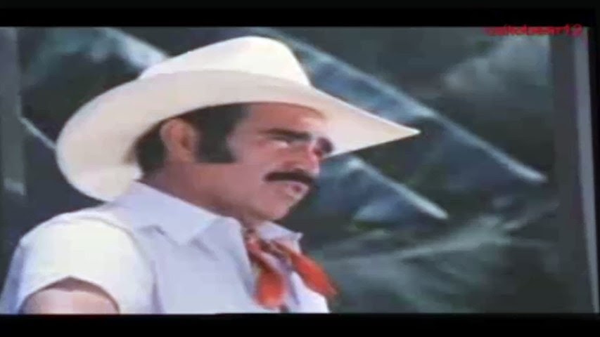Ver Pelicula El Sinvergüenza Vicente Fernández Online ...