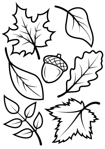 Nine ocean color by number pages, great for helping preschoolers with number recognition, fine. Fall Leaves And Acorn Coloring Page Free Printable Coloring Pages