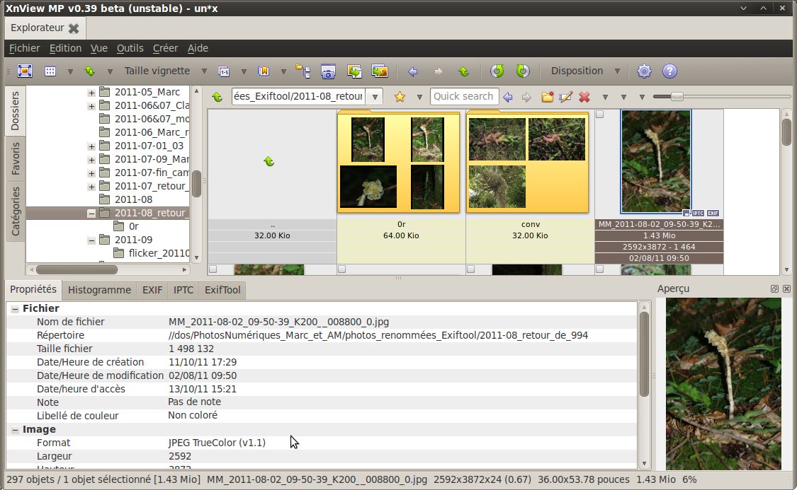 Best photo viewer, image resizer & batch converter for windows. Problem With French Accented Characters In V0 39 Beta Xnview Software