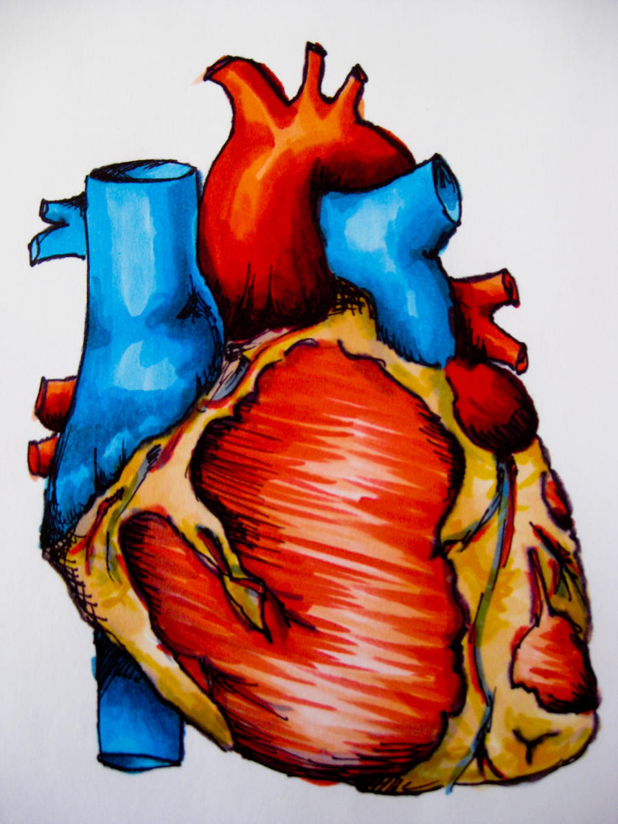 Heart Drawing Color
