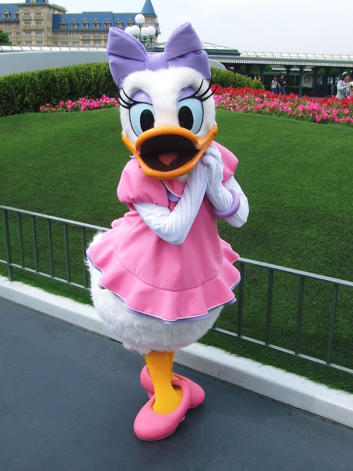 ユニークディズニー デイジー 画像 ただのディズニー画像