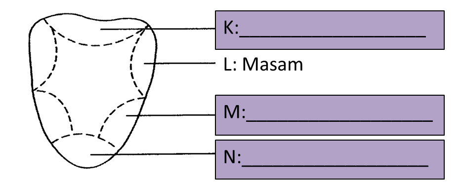 Soalan Matematik Tingkatan 1 Subjektif - Catet r