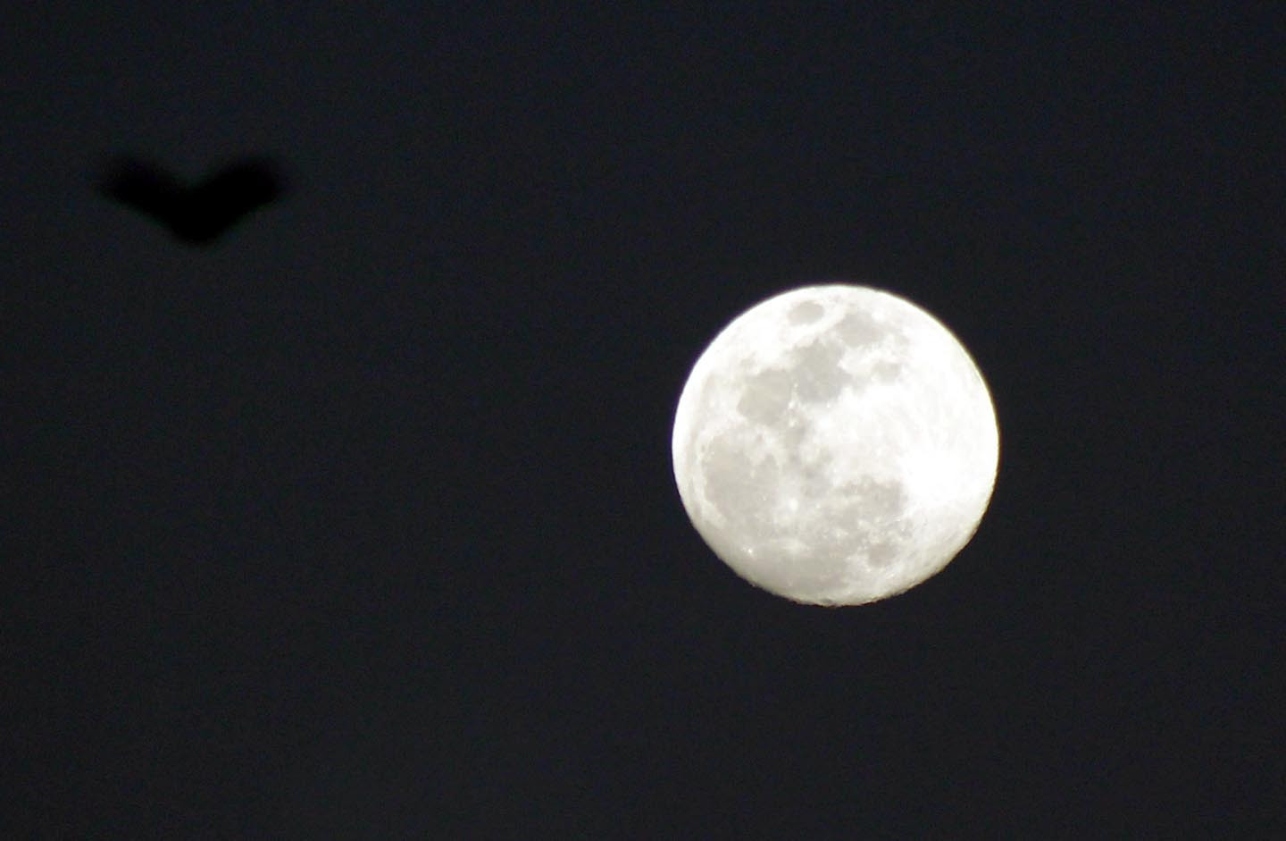 16+ Gambar Bulan Purnama - Gambar Pemandangan Keren
