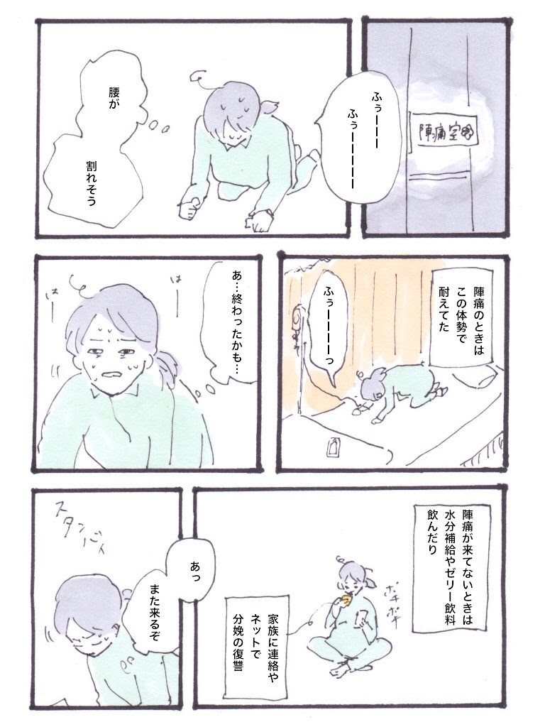 ユニーク出産 漫画 面白い 最高の動物画像