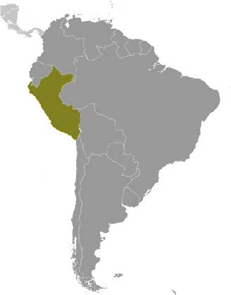 The continental divide of the americas, also known as the great divide or the western continental divide, is a large mountainous divide that passes through most of the continents of north america and south america, extending from the bering strait to the strait of magellan. Peru Sudamerika Geographie Und Landkarte