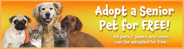 To get started, please click the pet's profile you are interested in, read the profile and then click the questionnaire at the bottom of the page to start your. Promotions And Events Orange County Animal Services