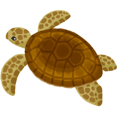 無料印刷可能海 イラスト 背景透過 ただのディズニー画像