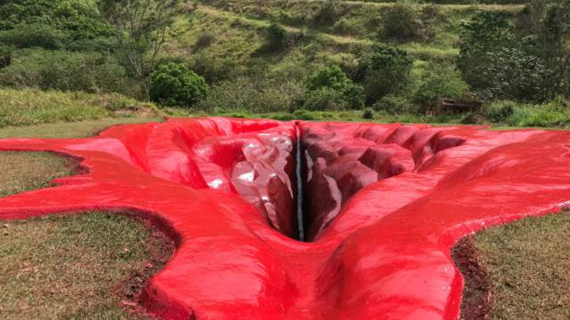 Eliane Brum | “A vagina que salvou o Réveillon do Brasil”
