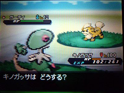 人気のコレクション ポケモン ブラック 2 色 違い 100 で最高の画像