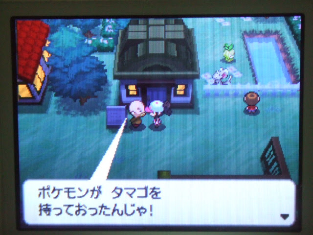 最良の選択 ポケモン アルファサファイア 育てや 100 で最高の画像