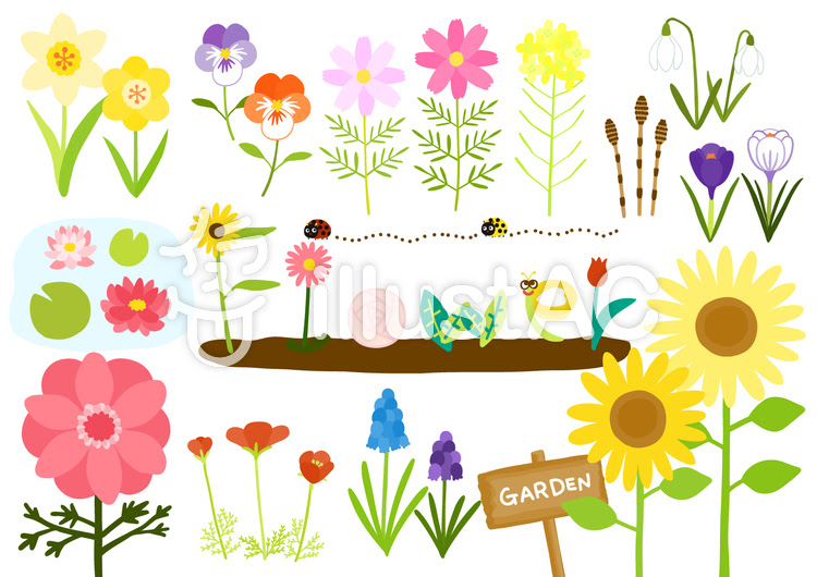 画像 花 かわいい イラスト 6433 花 枠 イラスト かわいい