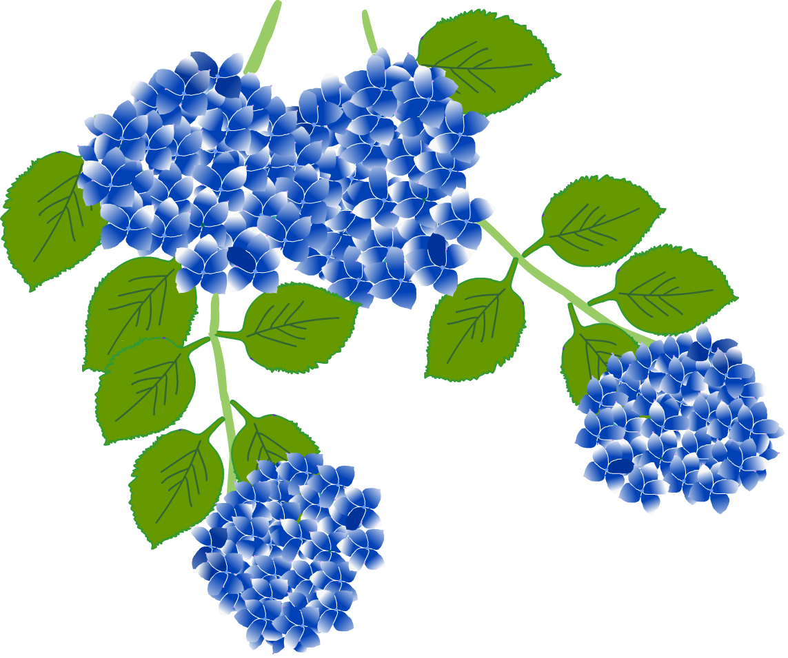 ここからダウンロード 紫陽花 イラスト 無料 興味深い画像の多様性