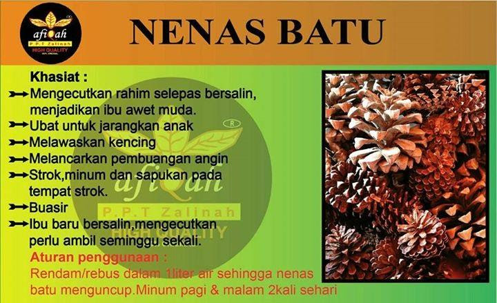 Ubat Batu Karang Nenas Batu - Rawatan v