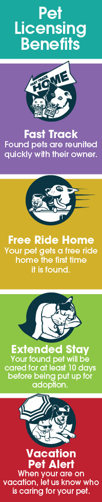 Several types of worms can infect cats. Licensing