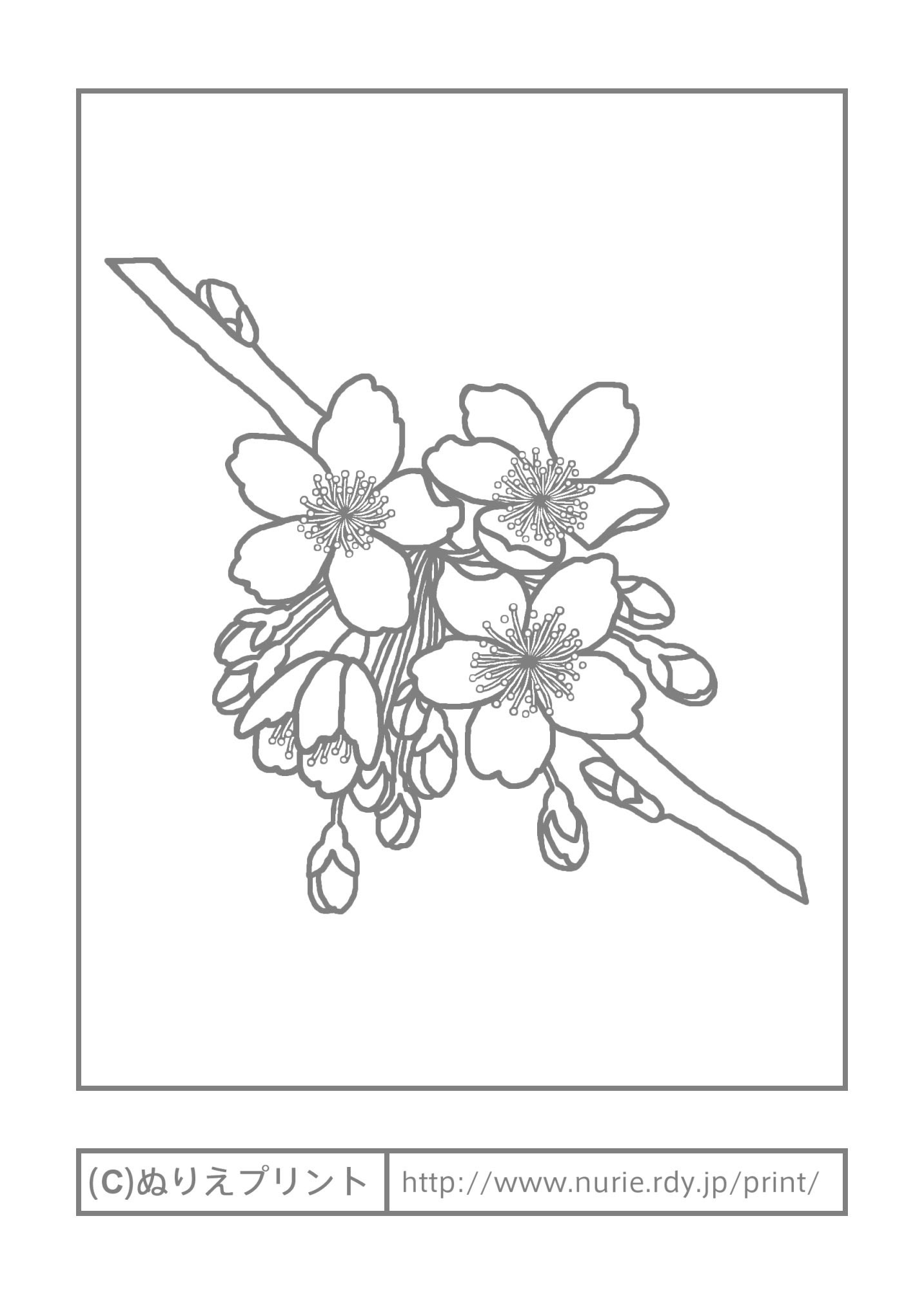 50 素晴らしい塗り絵 花束 最高の花の画像