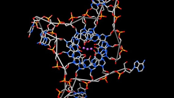 Bizarre knotted DNA structures linked to cancer in mice