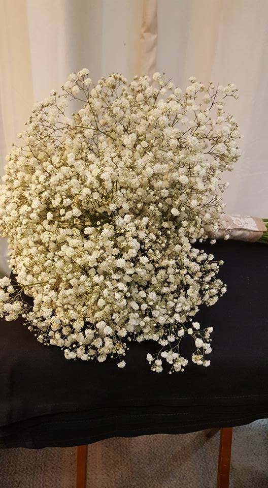 Check spelling or type a new query. Alex S Flowers