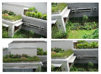 contoh rumah taman atap hijau - rumah dengan taman