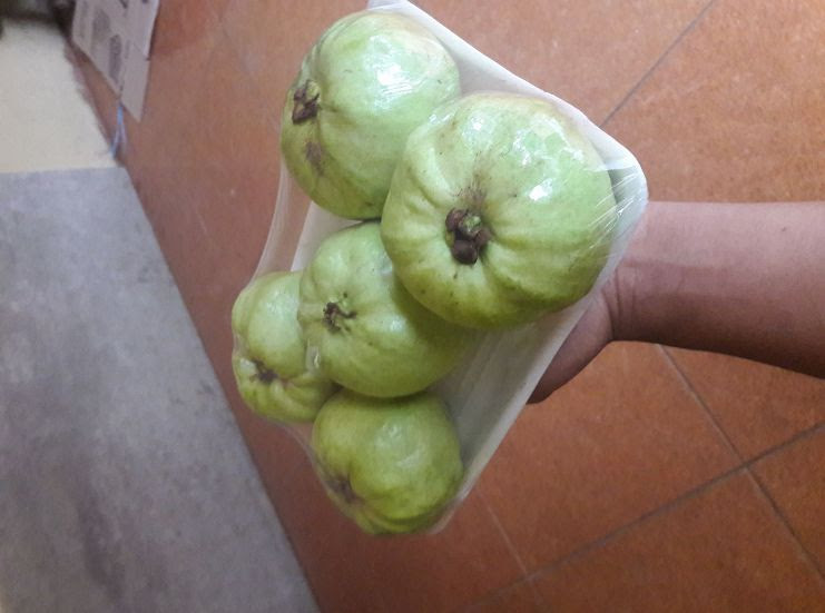 Cara Mengatasi Jambu Kristal Busuk - CARA PERAWATAN JAMBU ...