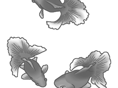 選択した画像 白黒 和風 金魚 イラスト 299189
