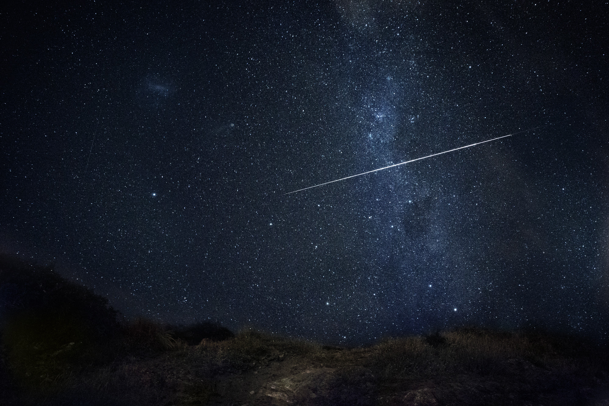 トップ100流れ星 フリー素材 花の画像