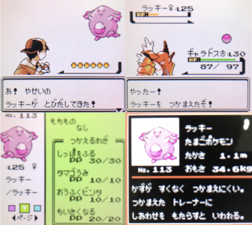 50 ポケモン 金銀 図鑑 完成 ディズニー画像のすべて