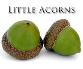 Little acorns is a horse racing betting system based on building up a bank gradually by laying horses and compounding profits. Horse Racing System Reviews Blog Archive Little Acorns Review