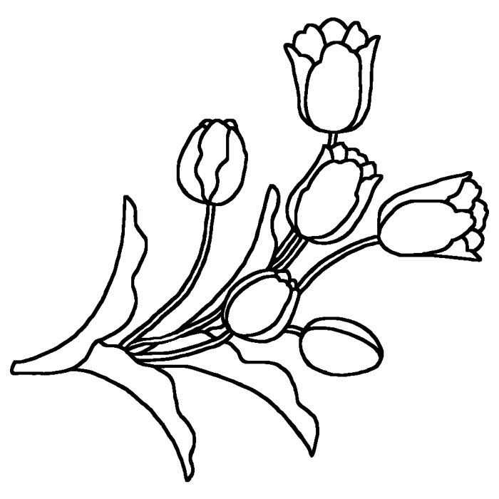 新着チューリップ イラスト 白黒 最高の花の画像