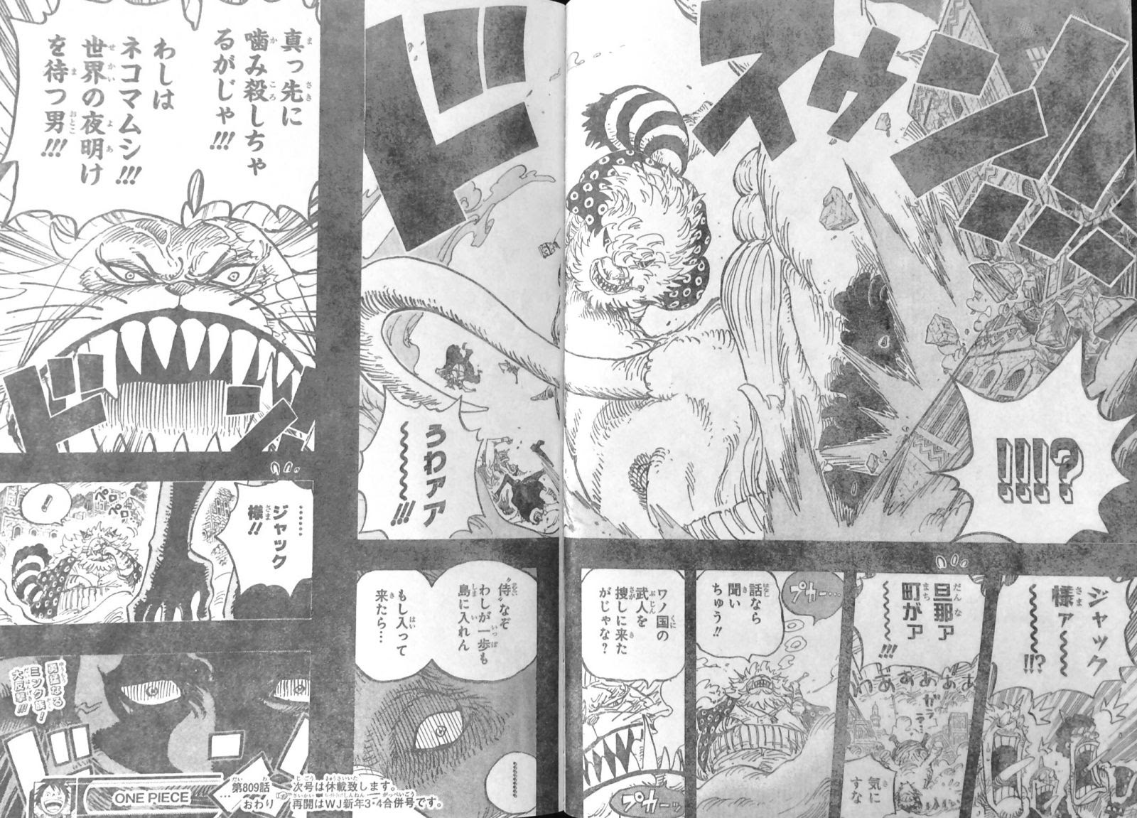 Plus De 400 ワンピース ネコマムシ ワンピース ネコマムシ 腕 ジョングクアニメ画像