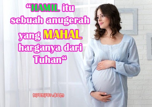  Kata Kata  Motivasi Untuk Ibu Hamil Keajaiban Kata Kata 