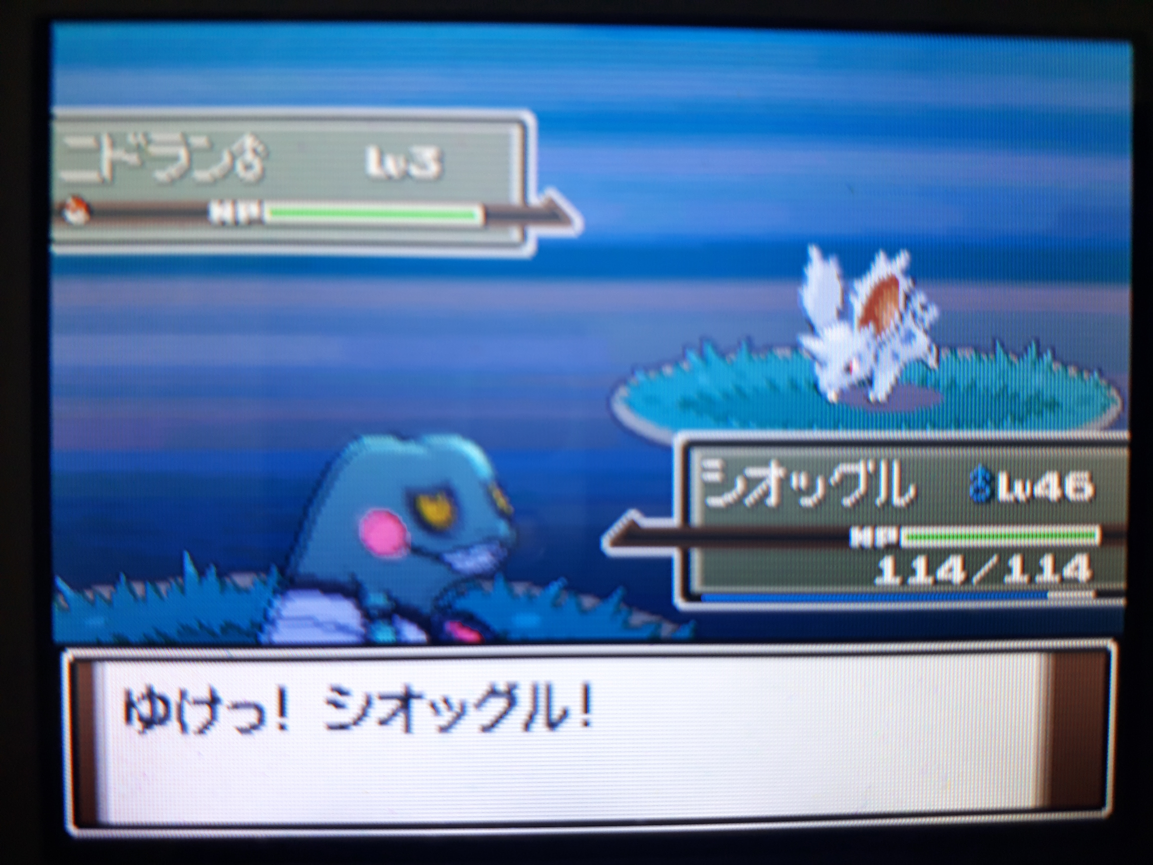 ポケモン プラチナ 性格 イメージポケモンコレクション